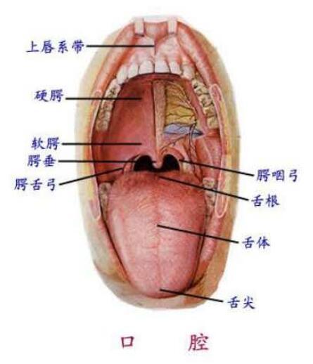voice-course4-1.jpg