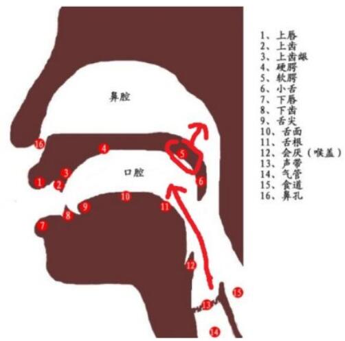 voice-course5-2.jpg